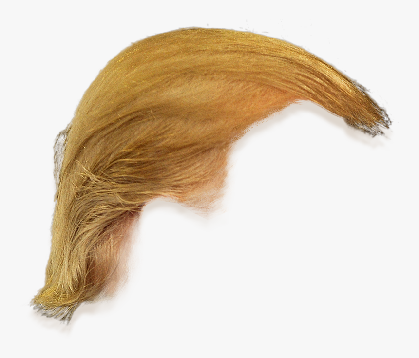 Trump Hair Png - Donald Trump Hair Only, Transparent Png, Free Download