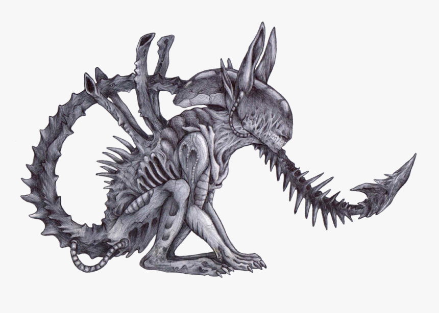 Cat Xenomorph By Zombiemutt13 Alien Vs Predator Drawing Hd Png