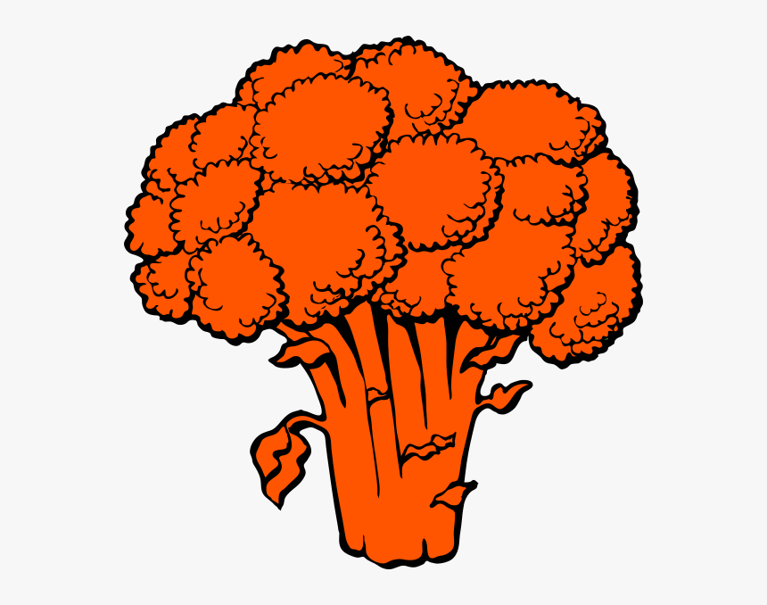 Hd Clip Art Free - Broccoli Clipart, HD Png Download, Free Download