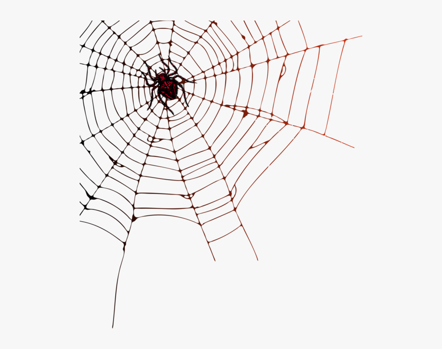 Transparent Cobweb Png - Transparent Background Spider Web Png, Png Download, Free Download