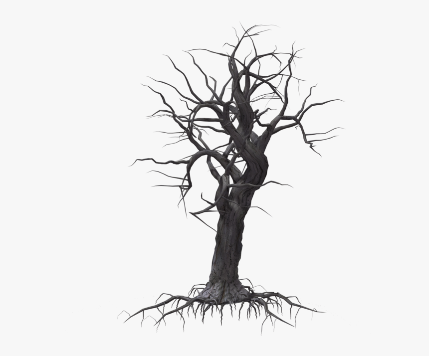 Tree Woody Plant Drawing - Arboles Secos Png, Transparent Png, Free Download