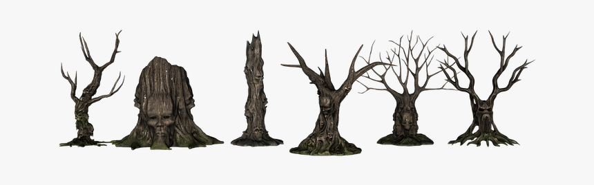 Trees, Forest, Creepy, Fantasy, Aesthetic, Kahl, Scary - Tree Creepy Png, Transparent Png, Free Download