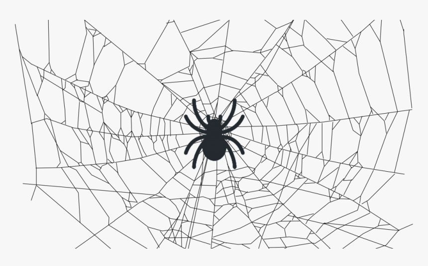Crawleando A Web Com O Scrapy - Transparent Background Spider Web Png, Png Download, Free Download
