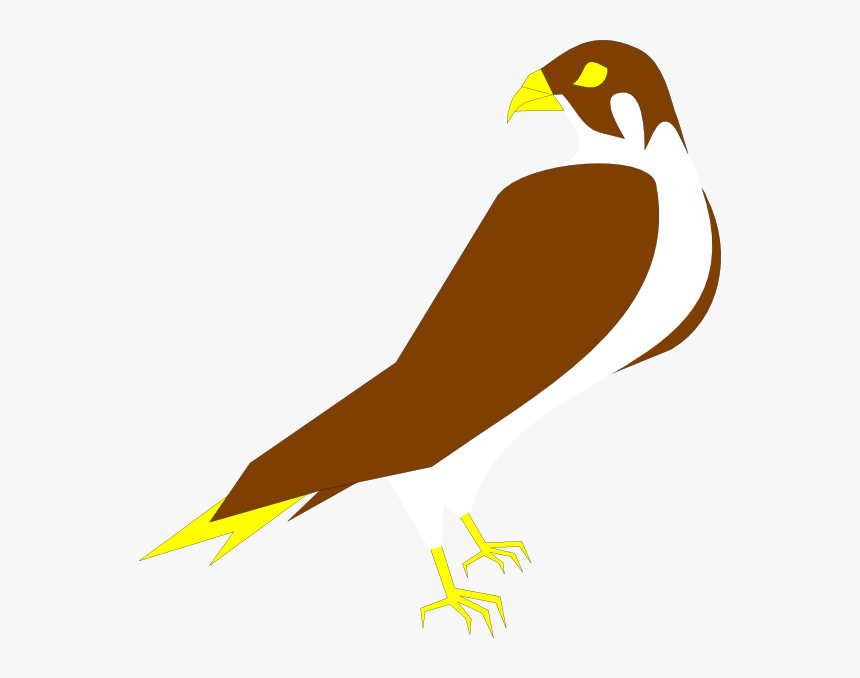 Falcon Svg Clip Arts - Clipart Falcon, HD Png Download, Free Download