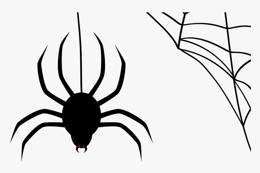 How Birds Fly - Spider Web Clipart, HD Png Download, Free Download
