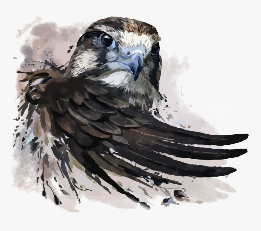 Watercolor Painting Falcon Illustration - Peregrine Falcon Tattoo Ideas, HD Png Download, Free Download