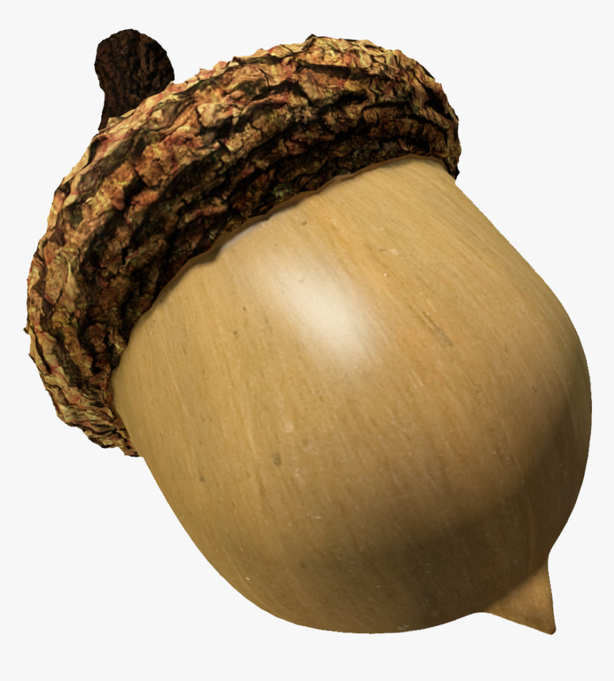 Acorn Png Image - Acorn Transparent Background, Png Download, Free Download