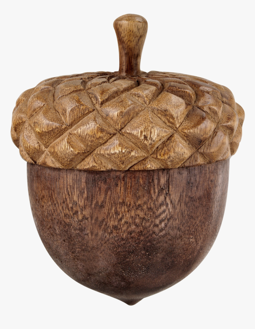 Nut,acorn,lid - Transparent Acorn Png, Png Download, Free Download