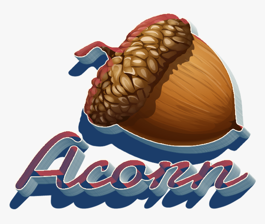 Acorn Png Clipart - Acorn Clipart Png, Transparent Png, Free Download