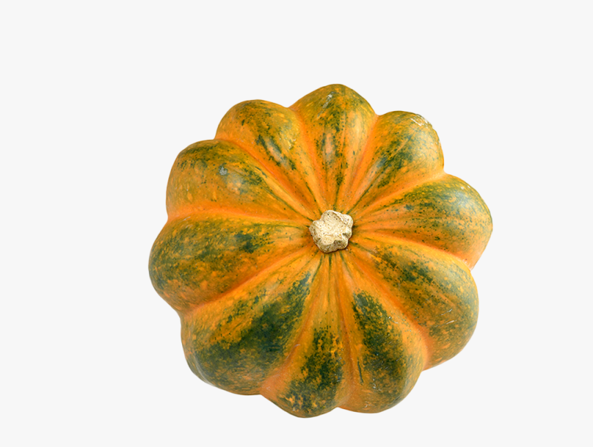 Acorn Squash Png Transparent Image - Squash Png, Png Download, Free Download