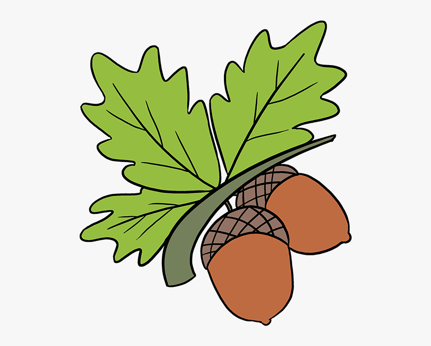How To Draw Acorns - Simple Drawing Acorn Clip Art, HD Png Download, Free Download