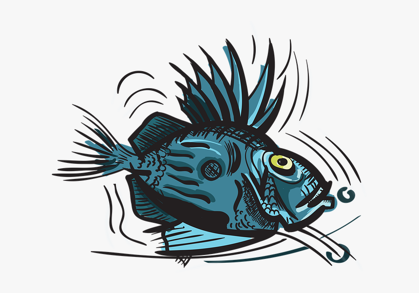 John Dory, Fish, Animal, Sea - Illustration, HD Png Download, Free Download