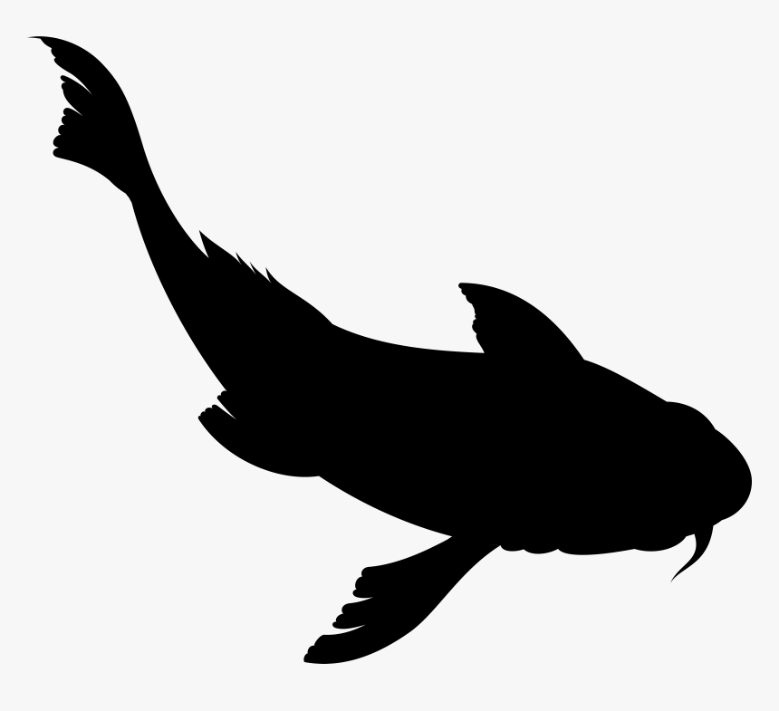 Dolphin Clip Art Fauna Silhouette Beak, HD Png Download, Free Download