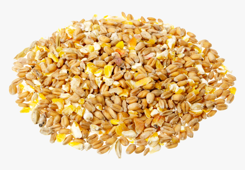 Grain Transparent Background - Cereali Png, Png Download, Free Download