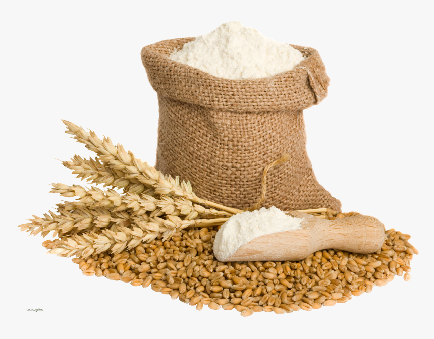 Wheat Png Image, Transparent Png, Free Download