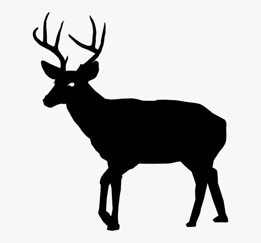 Buck Clipart Real Deer - Deer Silhouette, HD Png Download, Free Download