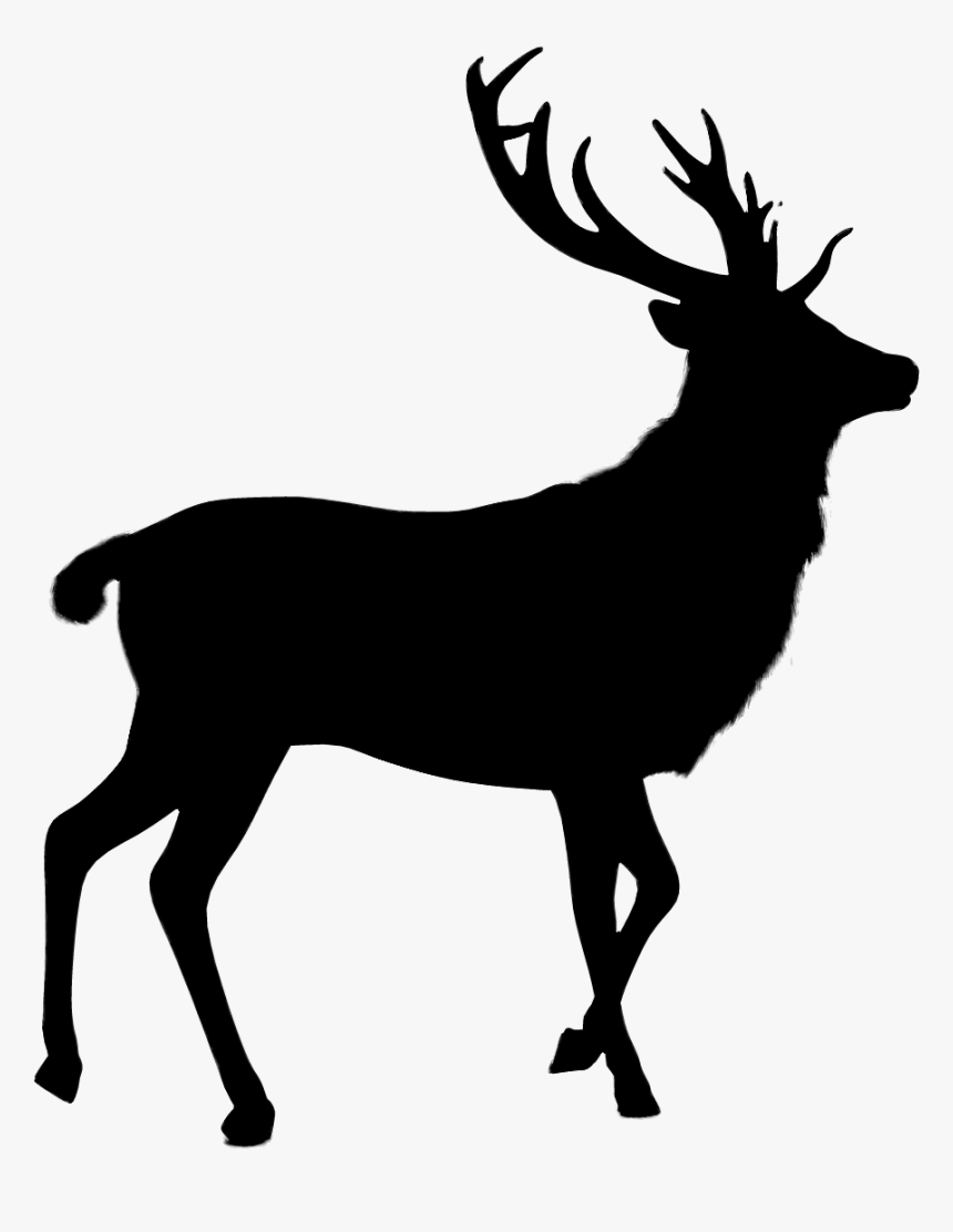 Deer Silhouette - Transparent Background Deer Clipart, HD Png Download, Free Download