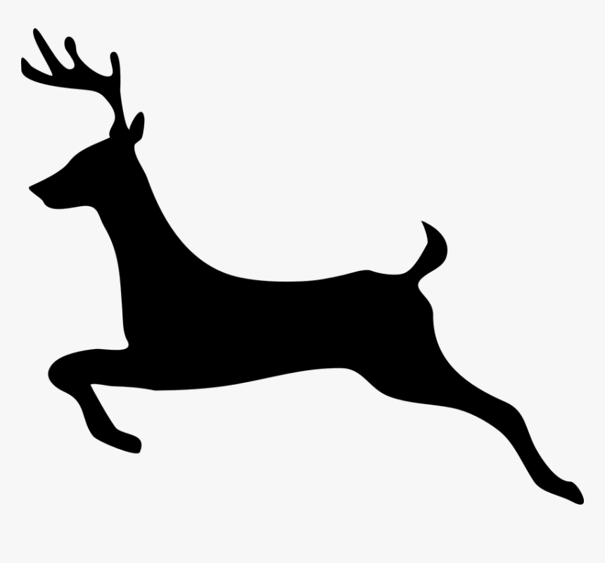 Transparent Deer Head Png - Deer Clip Art, Png Download, Free Download