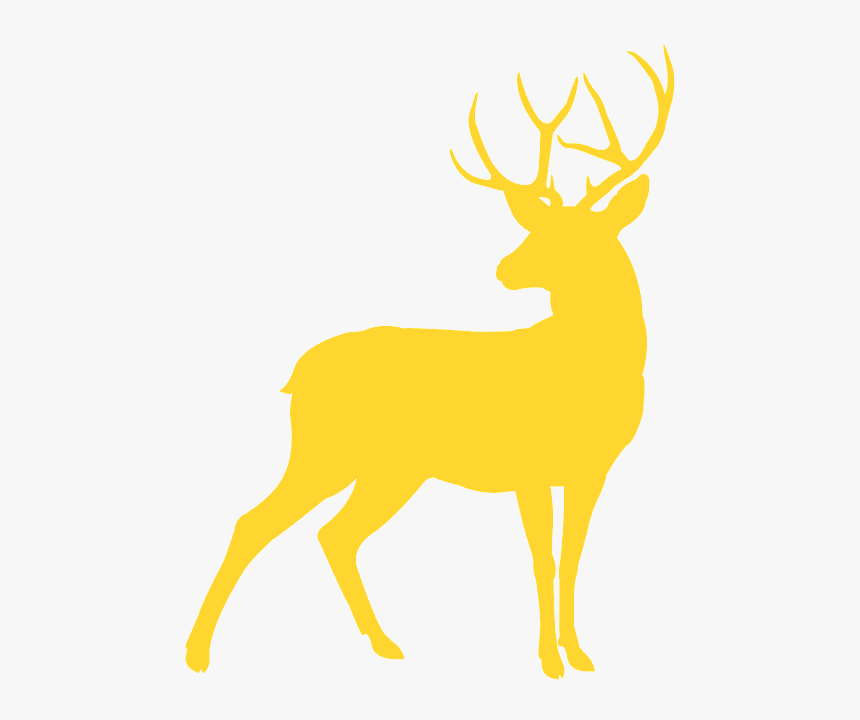 Reindeer Buck Deer Silhouette, HD Png Download, Free Download