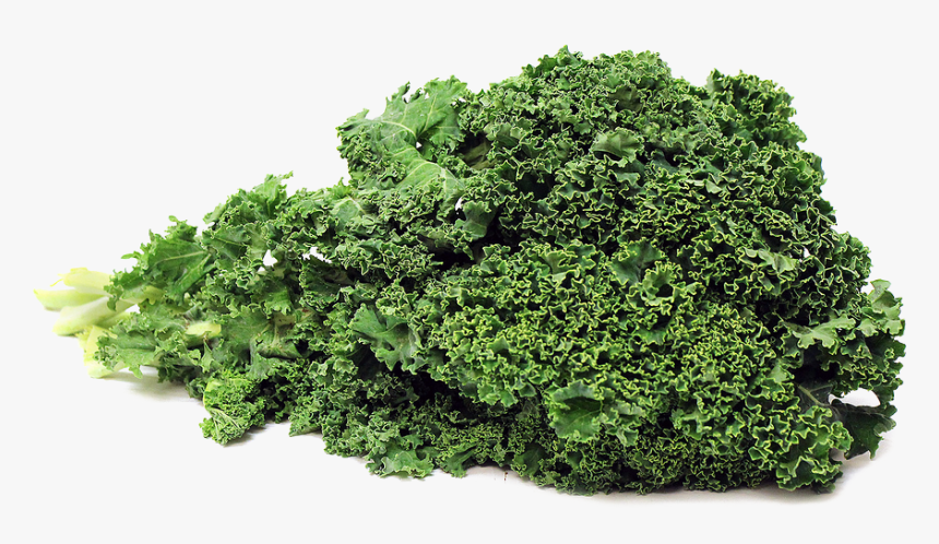 Download Kale Png Photos - Kale Png, Transparent Png, Free Download