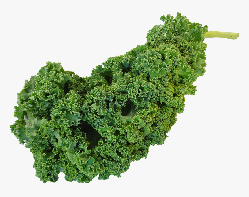 Kale Png Clipart - Transparent Background Vegetable Png, Png Download, Free Download