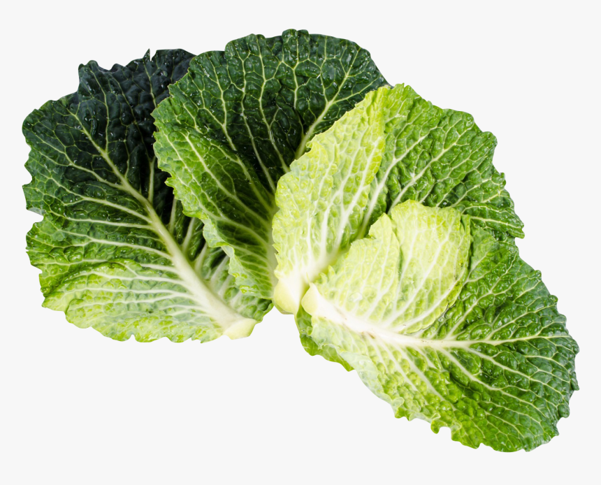 Kale Png Image, Transparent Png, Free Download