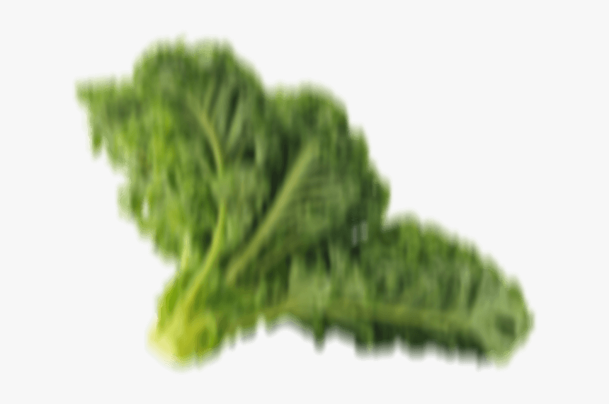 Goodnature Our New Herbivore - Kale, HD Png Download, Free Download