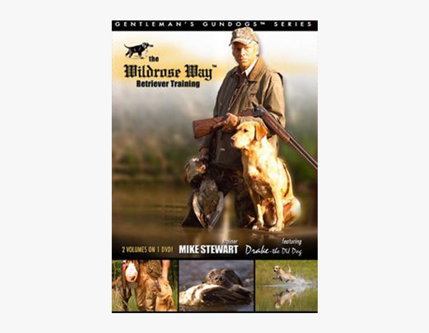 Hunting Dog, HD Png Download, Free Download