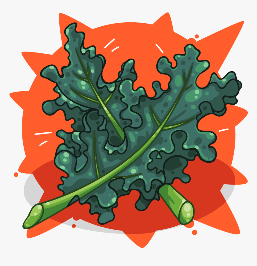 Curly Kale , Png Download, Transparent Png, Free Download