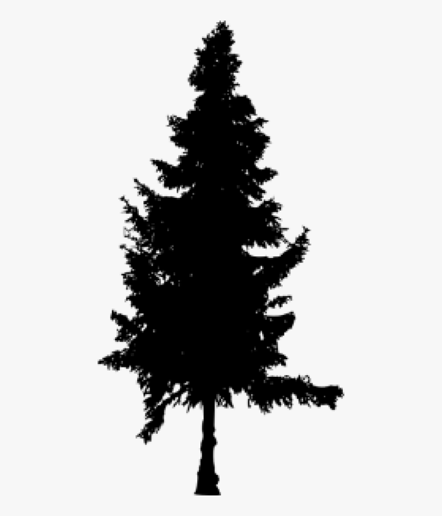 Pine Trees Silhouette Png - Tree Silhouette Vector Png, Transparent Png, Free Download