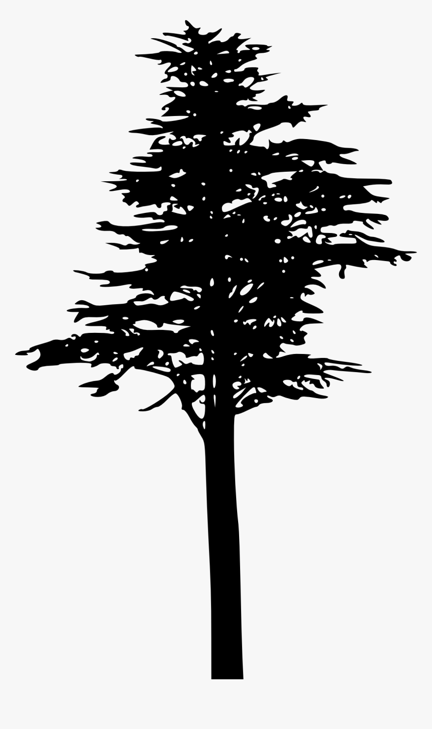 Pine Silhouette Trees Transparent, HD Png Download, Free Download