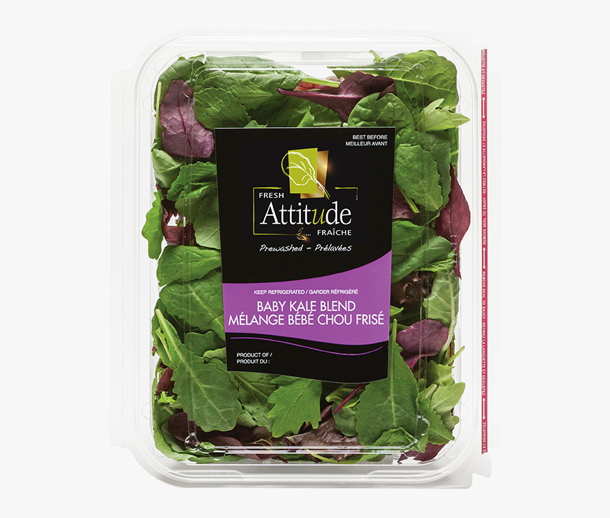 Fresh Attitude Baby Kale Blend 5oz Product - Spinach, HD Png Download, Free Download