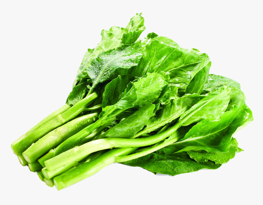 Kale Transparent Lettuce - Mustard Greens Png, Png Download, Free Download
