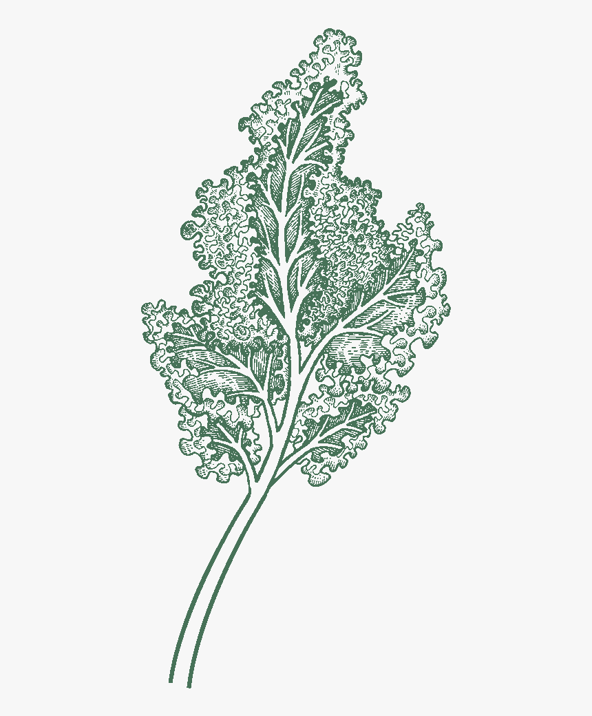 Illustration, HD Png Download, Free Download