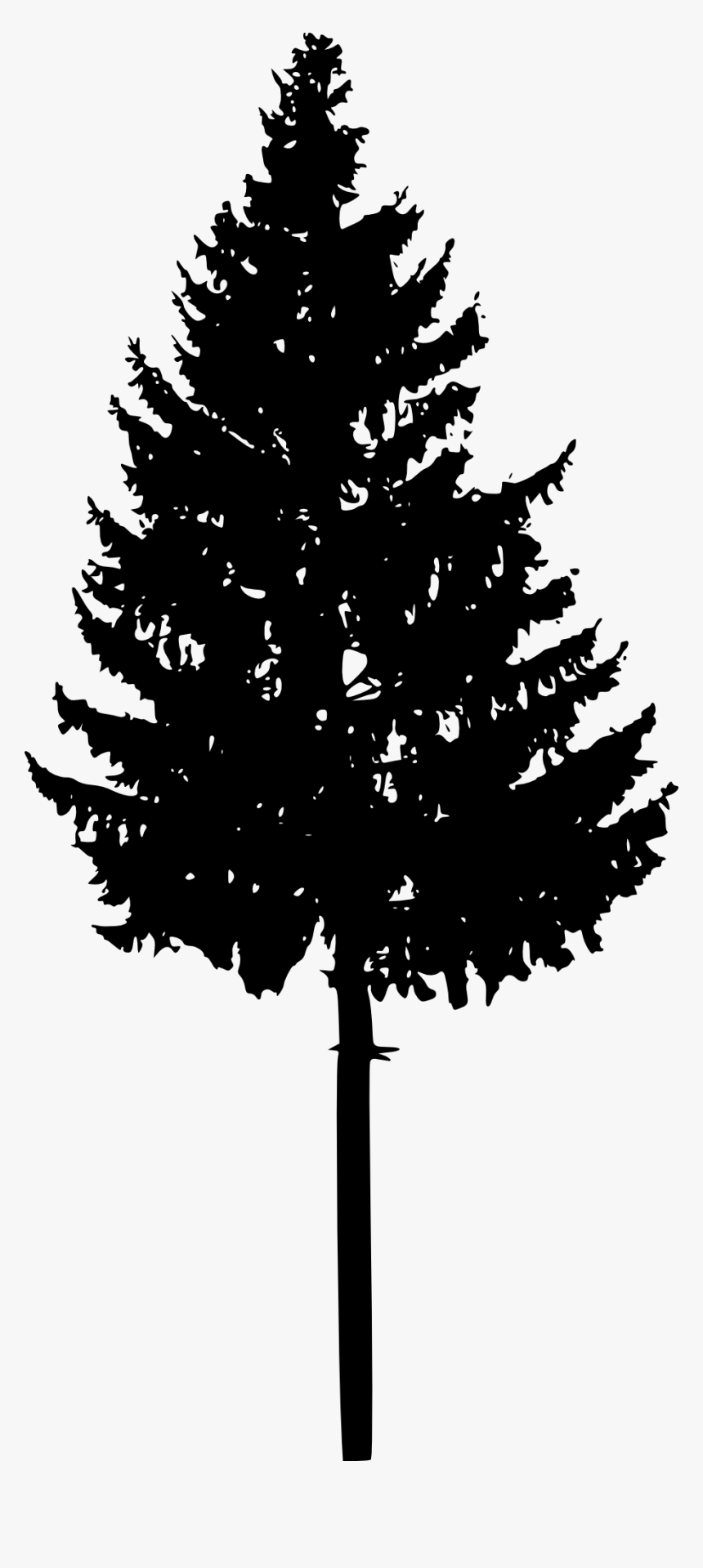 Tree, HD Png Download, Free Download