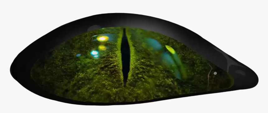Scary Eyes Png Grass - Cb Background Horror Png, Transparent Png, Free Download