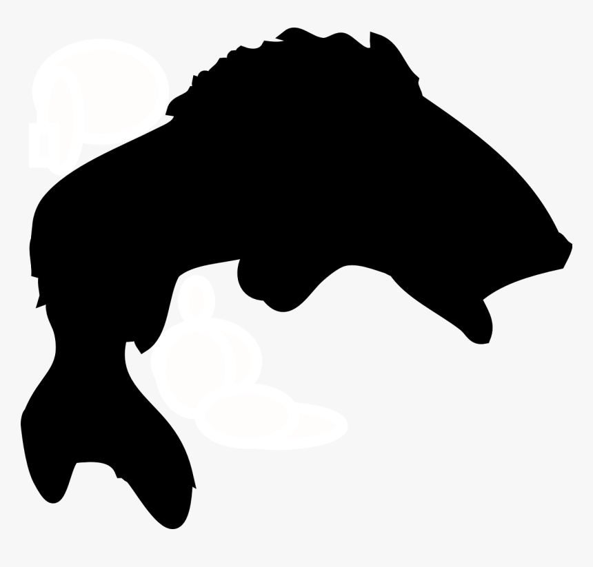 Fish, Silhouette - - Bass Fish Clipart Black, HD Png Download, Free Download