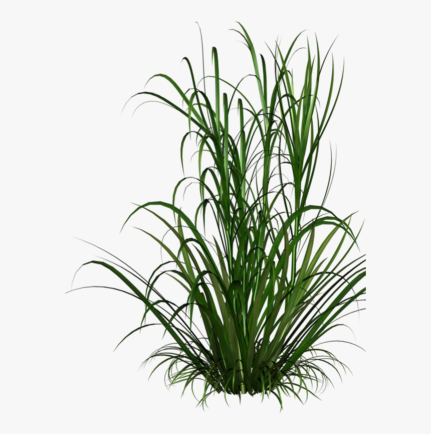 Png image download Png image download
