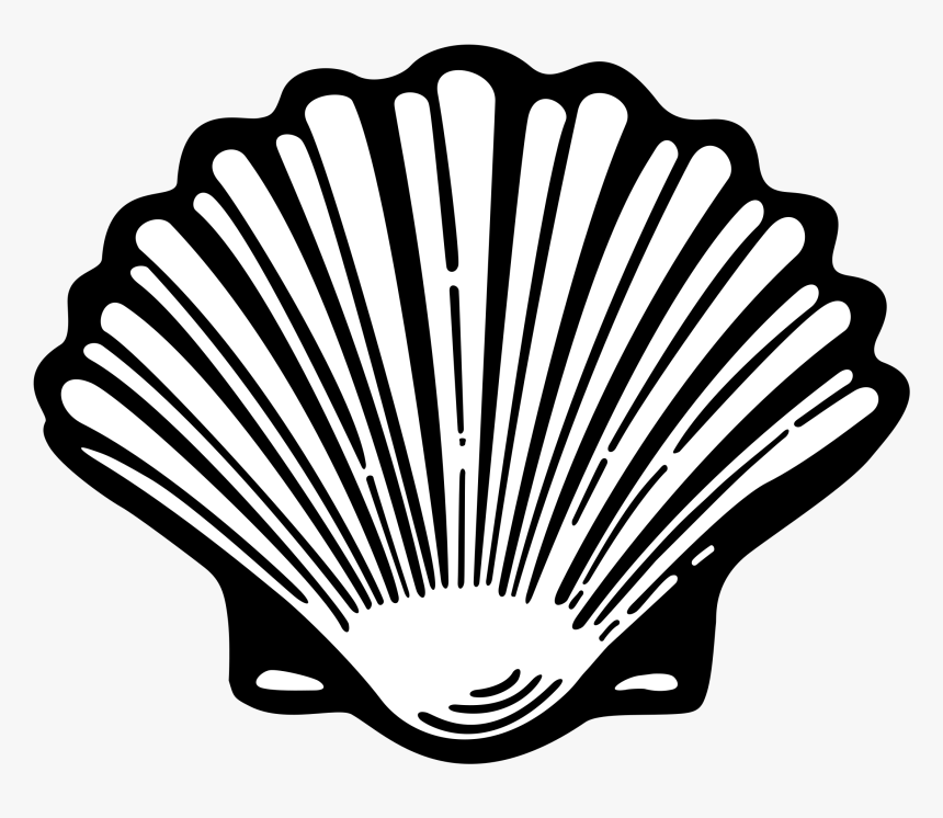 Shell Logo Png Transparent - Shell Logo Evolution, Png Download, Free Download