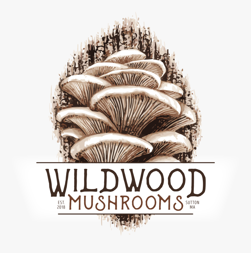 Mushrooms Logo Design - Mushroom Design For Logo, HD Png Download, Free Download