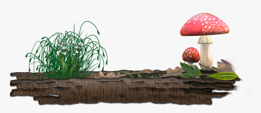 Mushroom, HD Png Download, Free Download