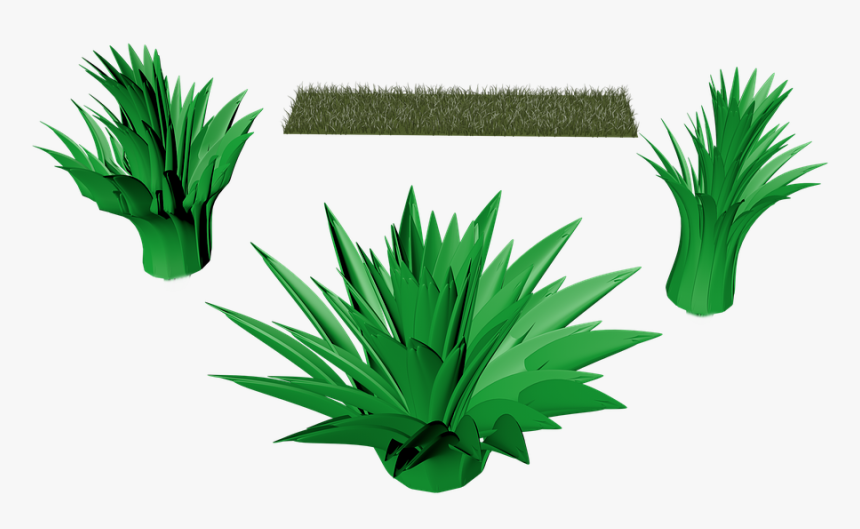 Plant, Rush, Isolated, Green, Grasses - Grass, HD Png Download, Free Download