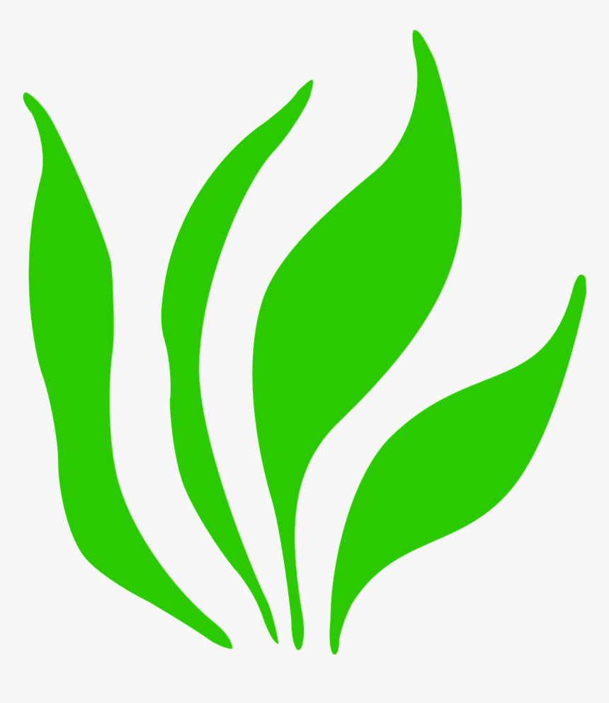 Grass Png Icon, Transparent Png, Free Download