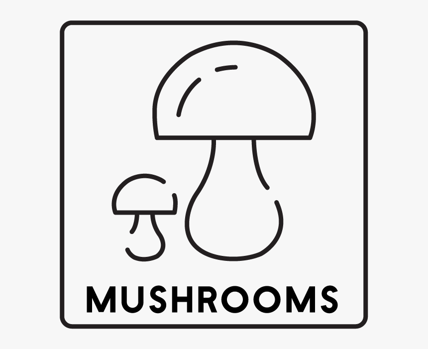 Mushroom, HD Png Download, Free Download