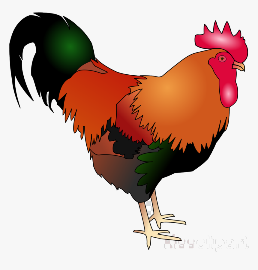 Chicken Rooster Bird Transparent Image Clipart Free - Chicken Rooster Clipart, HD Png Download, Free Download