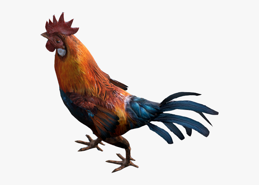 Rooster - Transparent Rooster Png, Png Download, Free Download