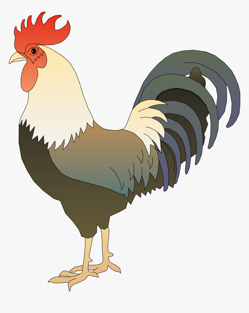 Clipart Rooster - Clipart Images Of Rooster, HD Png Download, Free Download