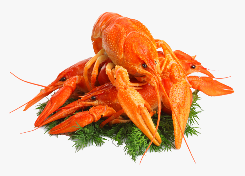 Lobster Png, Transparent Png, Free Download