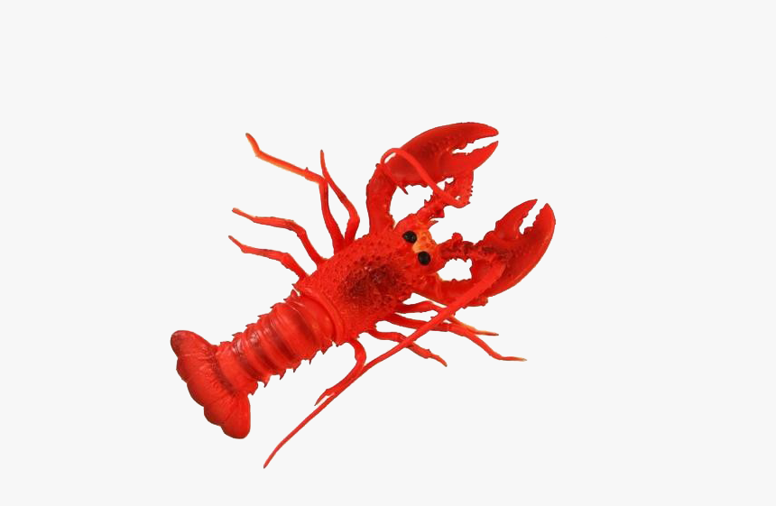 Lobster Png Free Pic - Lobster, Transparent Png, Free Download