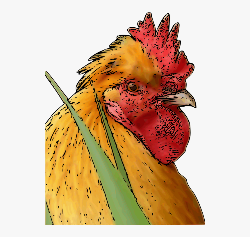 Rooster, HD Png Download, Free Download